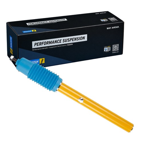 Ammortizzatore pressione gas