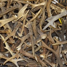 1Kg Corna di capriolo MIX. corno, caccia, cervo, decorazione IT