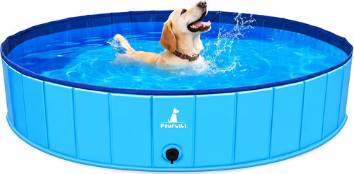 Piscina per cani grandi - piscina,