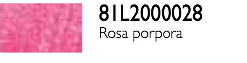 Rosa porpora polycolor - r,