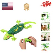 RC Wall Crawler Geco, Robot