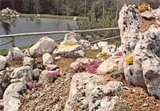 22-81A) MONTE BONDONE GIARDINO