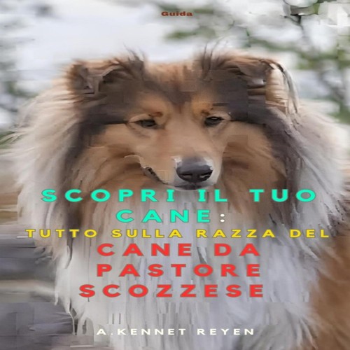 Scopri tuo cane tutto - il,