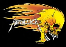 Poster metallica teschio - poster, fuoco