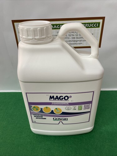 Mago coadiuvante - mago’,