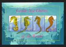 Tuvalu: Gentle Sea Horses of