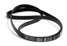 Cinghia elastica traino