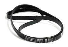 Cinghia elastica traino