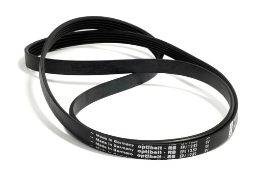Cinghia elastica traino