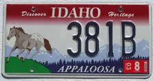 Idaho 2003 Appaloosa Cavalli