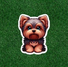 Cute Yorkshire Terrier yorkie