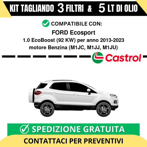Tagliando per ford - per, ecosport