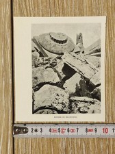 Trapani Selinunte rovine nel