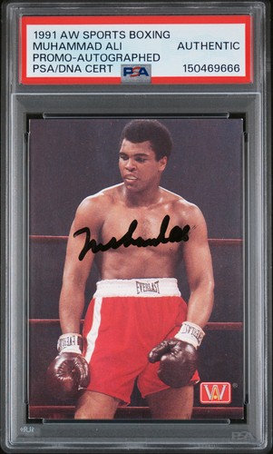 1991 sport boxing - 1991,
