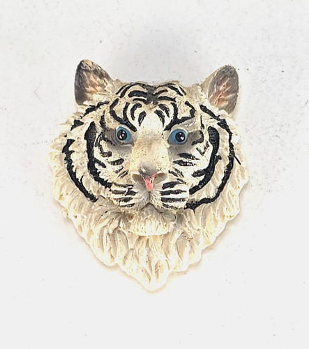Testa tigre resina - testa,