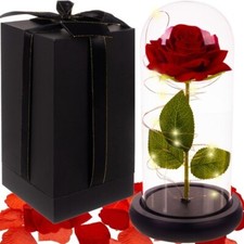 Rosa Eterna Stabilizzata Rossa in Campana Vetro Luci LED Regalo San Valentino