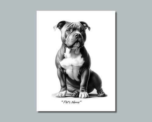 Foto personalizzata pit bull - foto,