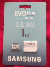 Micro Sd 1TB Arkos R36s Preinstallata ??