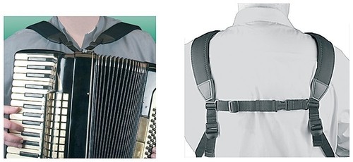 Fisarmonica cinghie per - cinghie,