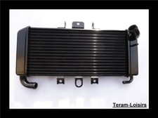 Radiatore Per YAMAHA FZS 600
