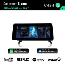 12.3" Android 13 Autoradio For