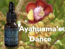Ayahuma's Dance Mothervine