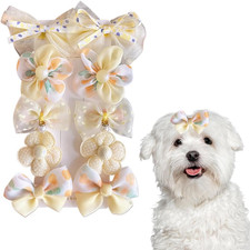 Ccessori Pelo per Cani 10