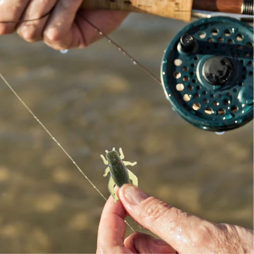 Esche pesca finte - 20, da
