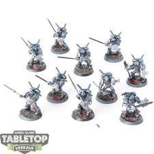 Cavalieri Grigi - 10 x Squadra