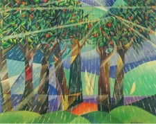 Orange Grove sotto la pioggia