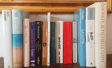 Lotto 14 libri TOM WOLFE SOPHIE KINSELLA MALKO DANIELLE STEEL SPARKS SCHINE L8