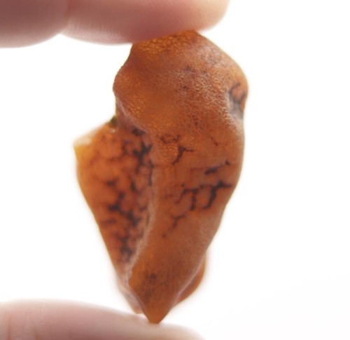 Pezzo pietra ambra baltica - pietra,