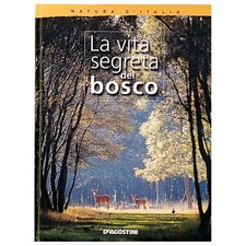 La Vita segreta del Bosco