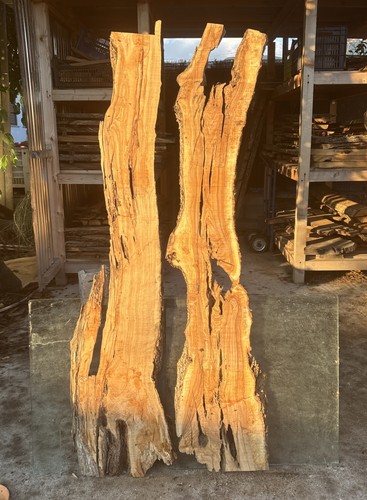 Coppia tavole legno di - tavole,