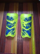 Parastinchi reusch - parastinchi,