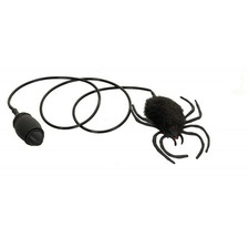 Ragno Salterino con Pompetta 7