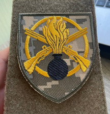 Unità Esercito Ucraina 22°