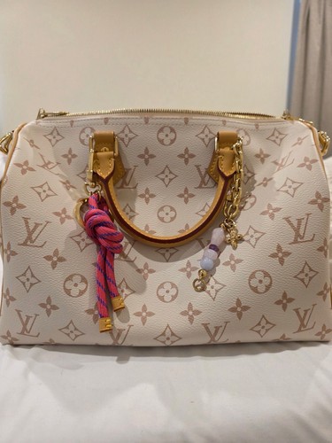 Louis vuitton speedy - vuitton, 30