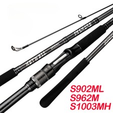 Canna da pesca lunga colata