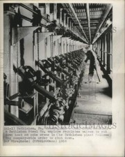 1956 Stampa Foto Bethlehem