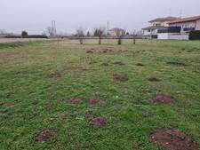 Terreno edificabile | mq 1.000