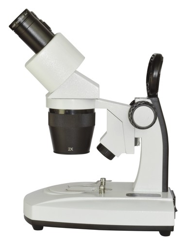 Microscopio stereo binoculare - stereo,
