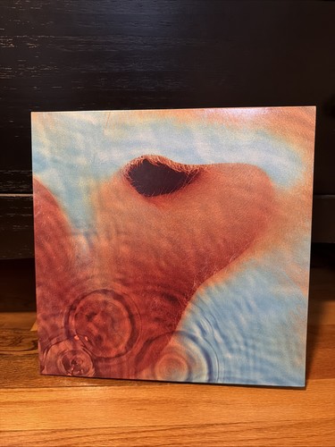 Pink floyd meddle - pink, 1971