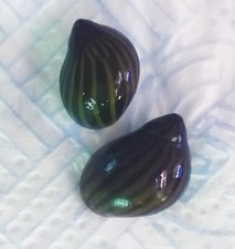 NERITINA ZEBRA lumaca acquario