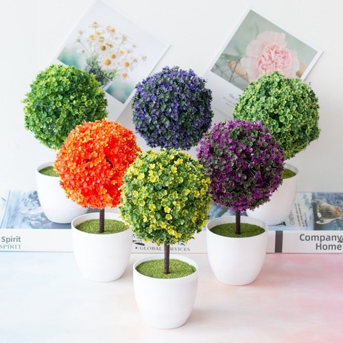 Plante bonsaï boule neige - plante,