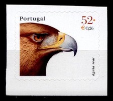 Aquila reale. 1W. Portogallo