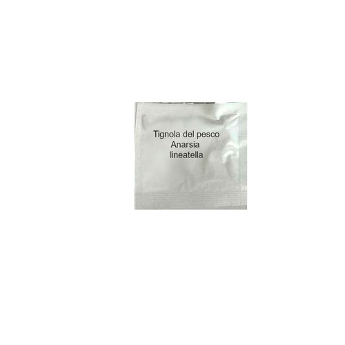 Feromone attrattivo per - , la