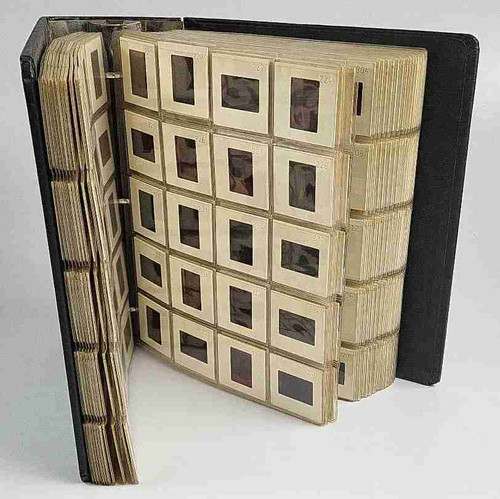 Raccoglitore cranbook art - raccoglitore,