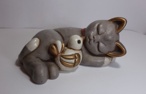 Raro gatto thun resi - raro,