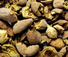 Baheda/Bibhitaki/Terminalia